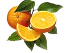Citrus Fresh