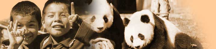 China Travel Photo - Kids and Pandas